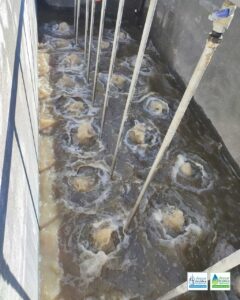 Dettaglio vasca di ossigenazione acque reflue caseificio | DEPURTECNICA